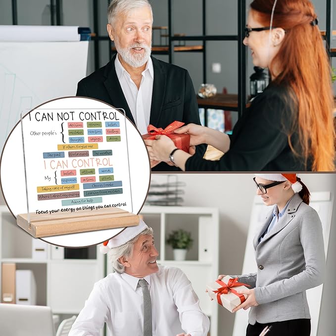 Mental Health Things I Can Control Psychology Motivational Acrylic Plaque Sign, Mental Health Gifts for Student Graduation, Therapist Office Gifts, Inspirational Gift for School Counseling Office Decor for Desk