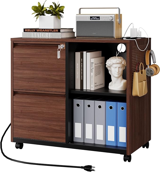 Letaya Mobile 2 Drawer File Cabinet with Lock, Metal Lateral Printer Stand Filing Storage Cabinets with Shelves for Home Office-A4/F4/Letter (Charging Socket)