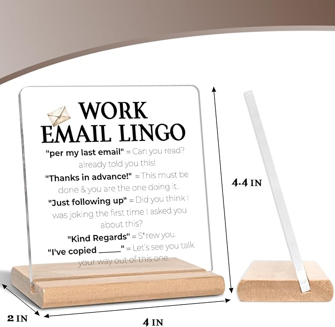 Funny Office Gifts for Work Women Men, Work Email Lingo Acrylic Decorative Sign, Sarcastic Office Gifts for Coworker, Colleague, Boss