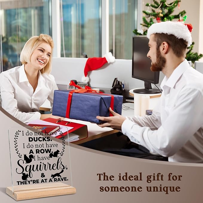 Funny Office Home Work Gifts for Coworkers, I Do Not Have Ducks Acrylic Decorative Sign, Humorous Hilarious Gifts for Employees, Boss, Friend