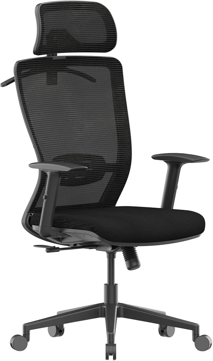 FLEXISPOT Ergonomic Office Chair, High Back Home Office Desk Chairs with Adjustable Lumbar Support, Armrests,90-130° Tilt Lock, Comfort Wide Cushion, Swivel Computer Gaming Chairs for Adults (Black)