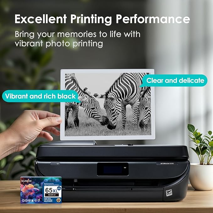 EcoVictor Remanufactured 65XL Ink Cartridges Replacement for HP 65 XL Black Ink Cartridge HP65 HP65XL Compatible Envy 5000 5055 5052 5010 5070 DeskJet 3755 3700 3772 3720 3752 2600 2622 2652 (2 Black)