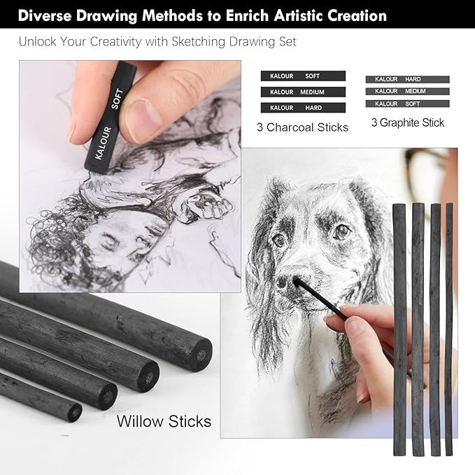 39pcs Drawing Pencil Set, Professional Sketch Pencils (5H-14B), Black and White Charcoal Pencils for Sketching, Eraser Brush Pen, Charcoal Sticks, Art Pencils Set for Artists & Beginners
