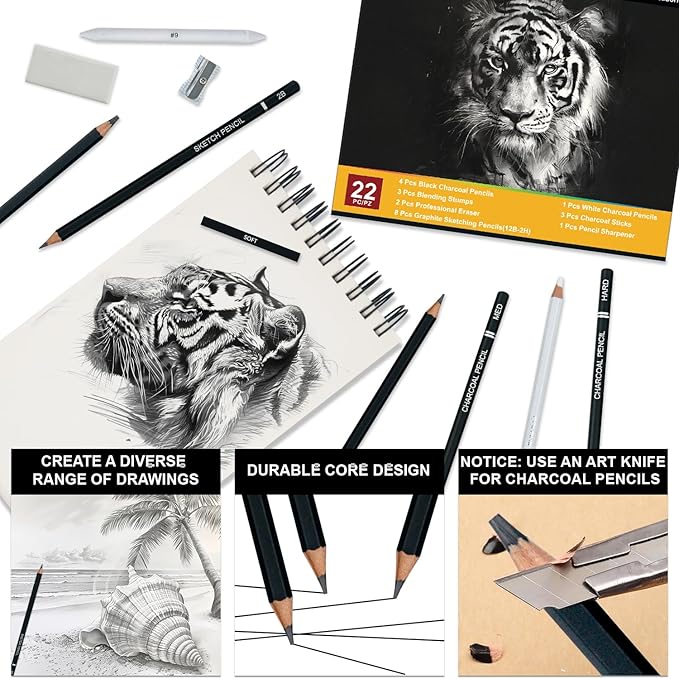 Charcoal Pencils for Drawing, Set of 22, Professional Drawing Sketch Pencils, Charcoal Art Supplies for Sketching, Shading, Artist Charcoal Supplies for Beginners & Pro Artists.