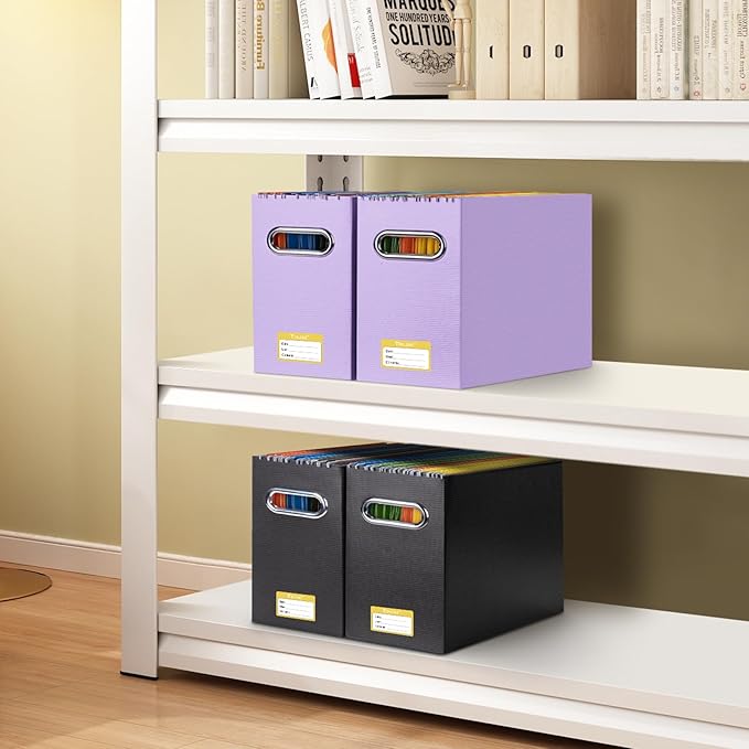 BALEINE File Organizer Box, Cardboard File Folder Organizer with Handle for Letter Size, Portable Collapsible Hanging Filing Box for Home Office Document Storage (2 Pack, Lavender)