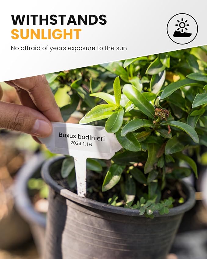 Colorty TZe-141 TZ Tape 18mm 0.7 Laminated Clear Replace for Brother P-Touch Label Tape 18 mm TZe141 TZe Black on Clear for Ptouch PT-D400 PT-D410 D600 Label Maker Refills 3/4 Inch, 6 Pack