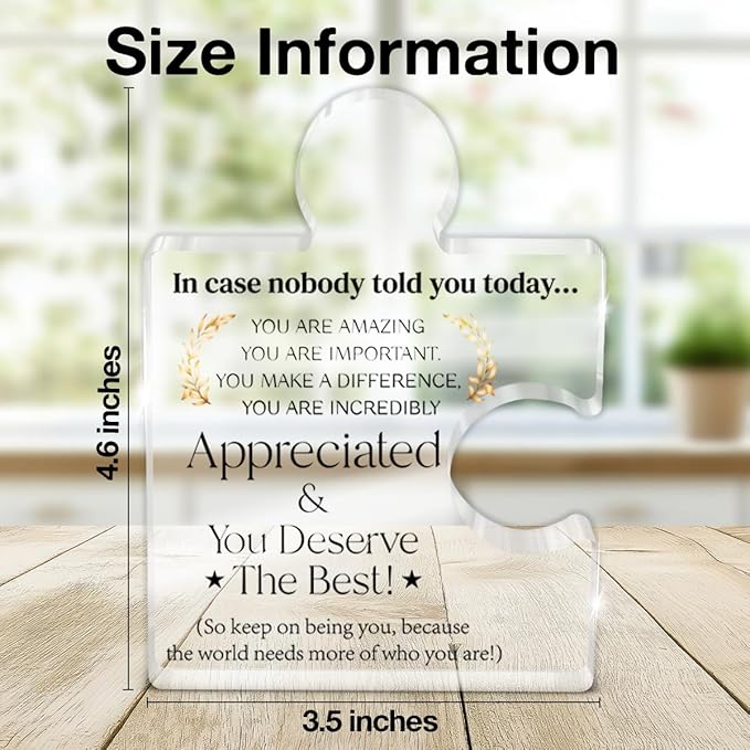 Employee Appreciation Gifts Thank You Gift Goodbye Leaving Gifts for Coworkers Colleagues Employees, in Case Nobody Told You Today You Are Appreciated Acrylic Puzzle Piece Plaque Office Decor