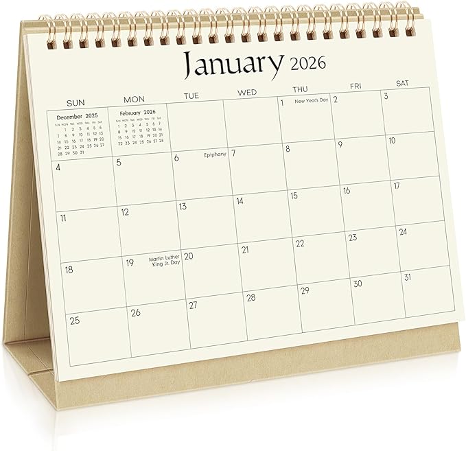 SKYDUE Desk Calendar 2025-2026, July 2025 – December 2026, 8.3" x 6.3", Black Minimalist Style, Eye-Care Paper, Double-Wire Binding, To-Do & Notes Sections, with 280 Planner Stickers