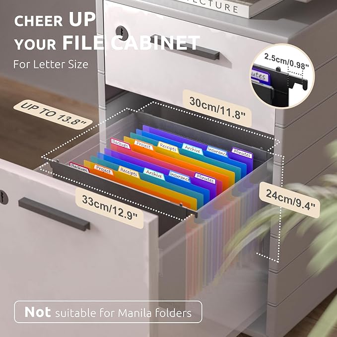 ThinkTex Plastic Expanding Hanging File Folders,12 Accordion Pockets,Large Capacity for Letter Size, Organizer for Filing Cabinet,Ideal for Tax,Contracts,Invoices,for Office,School & Home,Black