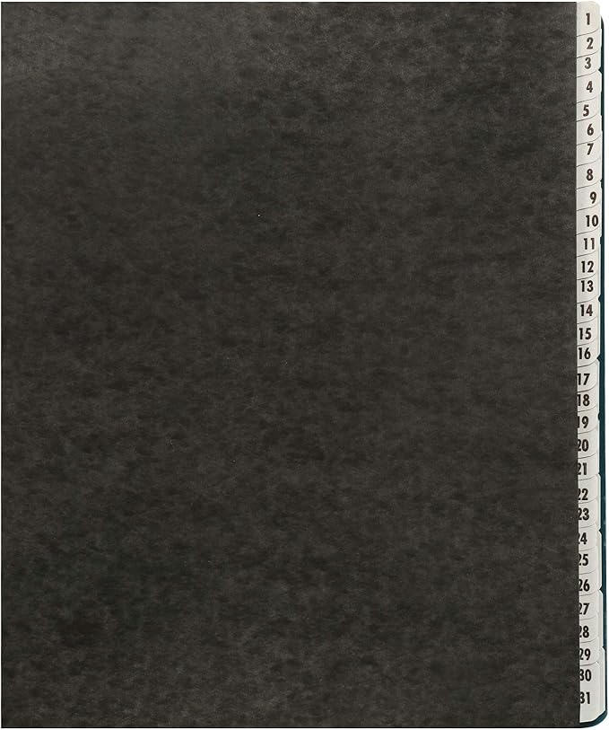 Amazon Basics Expanable Office File Sorter,Daily & Monthly File Organizer, Letter Size, Black