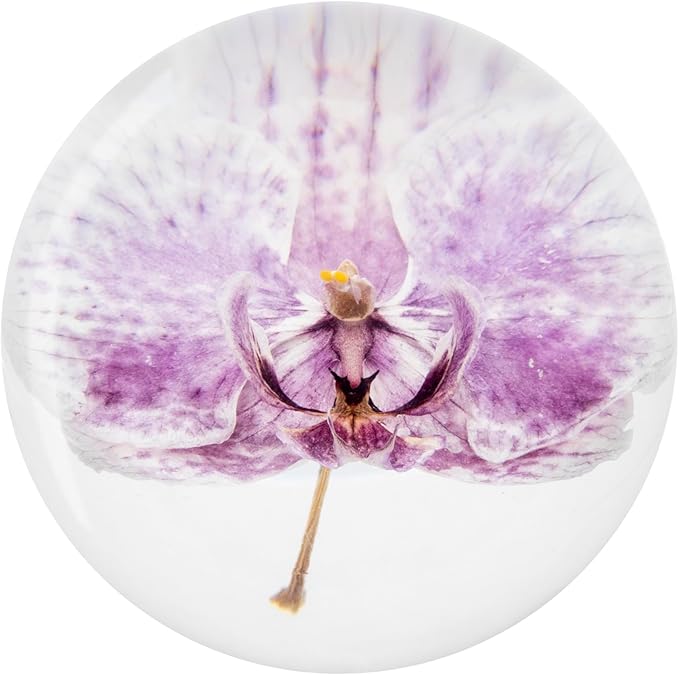 Real Purple Orchid Paperweight - Home Decor Crystal Resin Ball 3.14in (80mm) - Clear Resin Purple Orchid Flower Globe for Special Days - Sphere Figurine Office Paperweight w/Flat Bottom