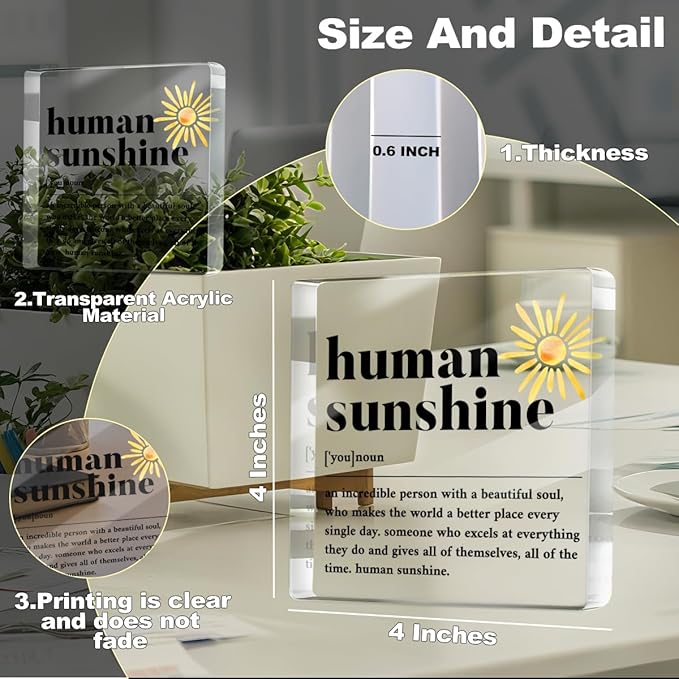 Human Sunshine Positive Affirmation Gifts for Leader Teacher Mentor Coworkers, Definition Desk Decor Acrylic Sign for Table Top Cubicle Room Office Decorative Signs
