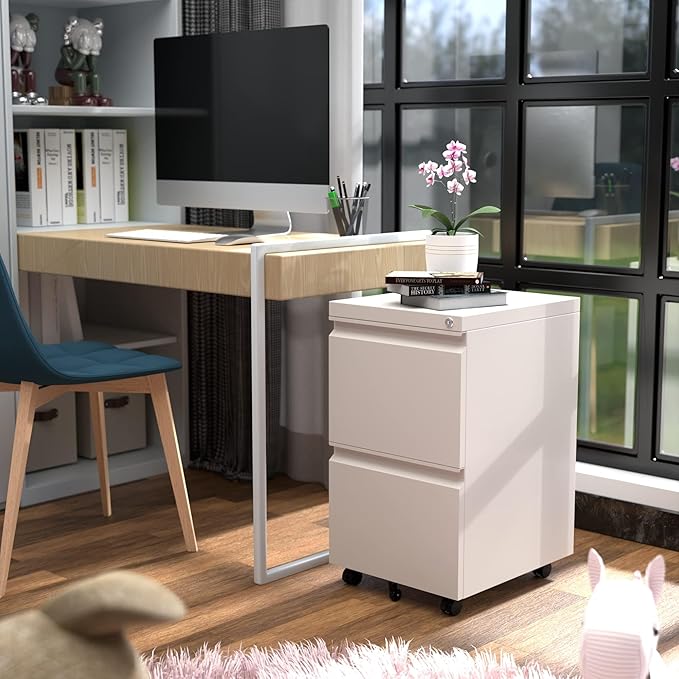 Aobabo Metal 2 Drawer Office File Cabinet with Lock, Under Desk Office Steel Files Cabinet on Wheels, 25.6''H Legal/Letter A4 Size, Fully Assembled Except Wheels,White