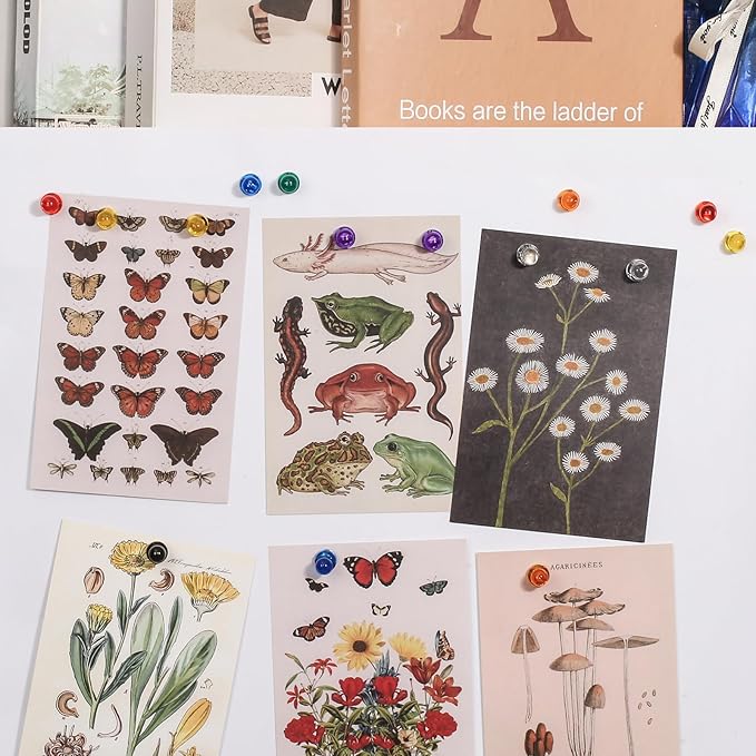 90 PCS Colorful Strong Magnetic Push Pin Magnets, 9 Assorted Color Magnetic Push Pin Magnets for Office, Classroom, Kitchen Home and School, Map Magnets, Whiteboard Magnets