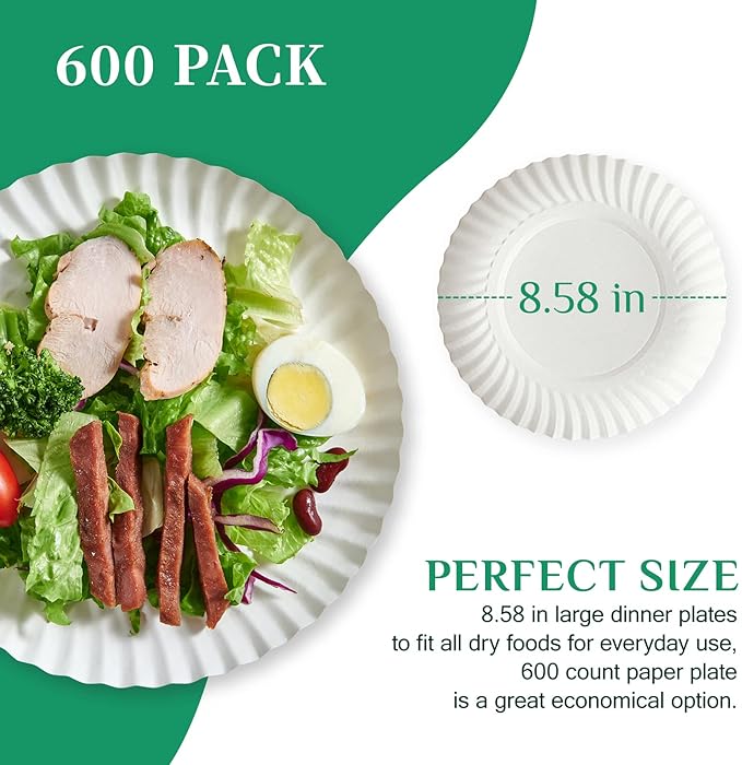 JOLLY PARTY 8.5 inch Paper Plates Uncoated,600 Count Everyday Disposable Plates, Light Weight Paper Plates White, Round Dinner Plates, Large Plate Lunch, for Home and Office