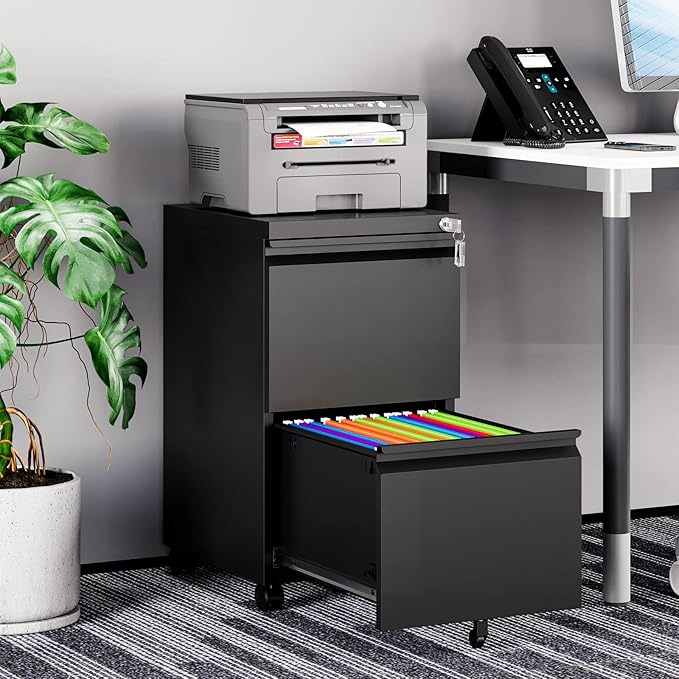 MIIIKO 2 Drawer File Cabinet on Wheels, Home Office Mobile Under Desk with Lock, Vertical Files Drawers for Legal/Letter/A4,Fully Assembled