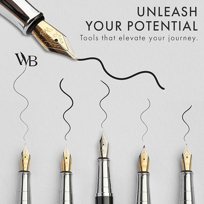 Wordsworth & Black Fountain Pen Gift Set, Includes Bottle, 6 Cartridges, Refill Converter, 4 Replacement Nibs, Premium Package, Journaling, Calligraphy, Smooth Writing Pens [Blue Chrome]