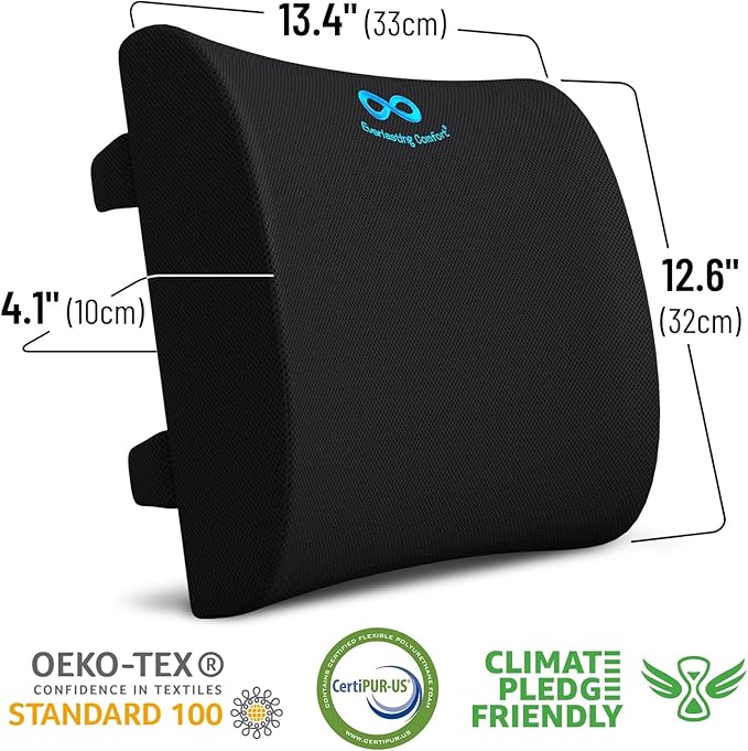 Everlasting Comfort Lumbar Support Pillow for Office Chair - Memory Foam Back Cushion for Car Seat - Promotes Better Posture, Back Pain Relief - Ideal Gaming and Desk Chairs Work and Home Essentials