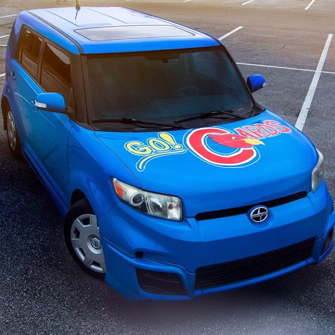 Window Markers for Glass Washable Car Window Paint Pen- Dry Erase Liquid Chalk Marker Car Decorations on All Surfaces, Tire, Windshield - Auto Marker, Autowriter, Rain Resistant (Pink, Jumbo Tip)