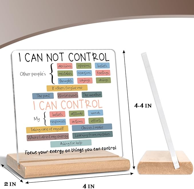 Mental Health Things I Can Control Psychology Motivational Acrylic Plaque Sign, Mental Health Gifts for Student Graduation, Therapist Office Gifts, Inspirational Gift for School Counseling Office Decor for Desk