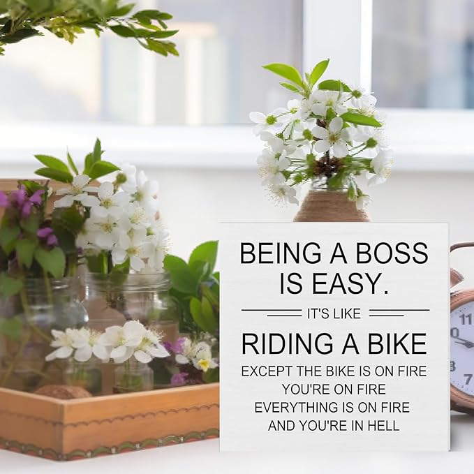 Funny Boss Gifts for Men Women, Cool Gifts for Boss Manager Supervisor, Cubicle Office Desk Decor