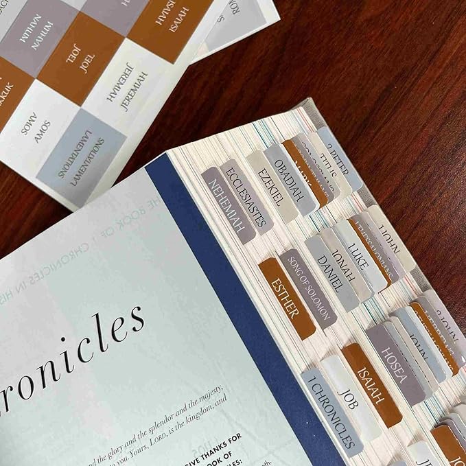 Thinkor Reposition Laminated Bible Tabs, Large Print Stickers, Easy to Read & Apply Bible Tabs for Women & Man (Winter Snow)