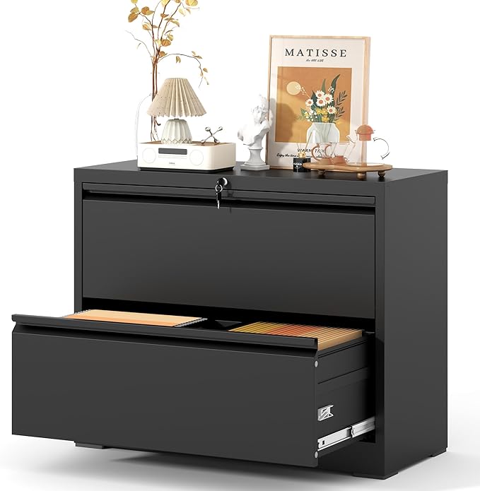2 Drawer Lateral File Cabinet, Metal Lateral Filing Cabinet for Home Office, Filing Cabinets for Letter/Legal/A4/F4 Hanging Files (Black)
