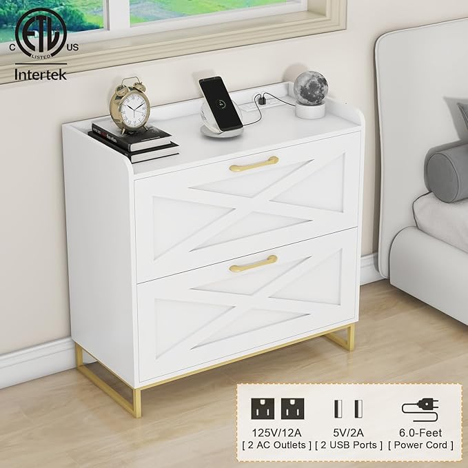 File Cabinet 2 Drawers Lateral File Cabinet with Charging Station for Letter/Legal/A4 Size Hanging Files, Large Wood File Storage Cabinets Printer Stand for Home Office, White and Gold