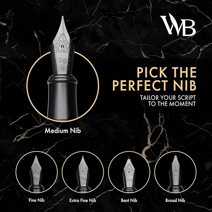 Wordsworth & Black Fountain Pen Set, Fine Nib, Includes 24 Pack Ink Cartridges, Ink Refill Converter & Gift Box, Calligraphy, [All Black], Perfect for Men & Women