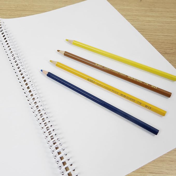 Rayson 3/8" Plastic Spiral Binding Coil, 60 Sheets Capacity, 4:1 Pitch 9.5mm White Coil Binding Spines for Business and Educational Purposes, Pack of 100