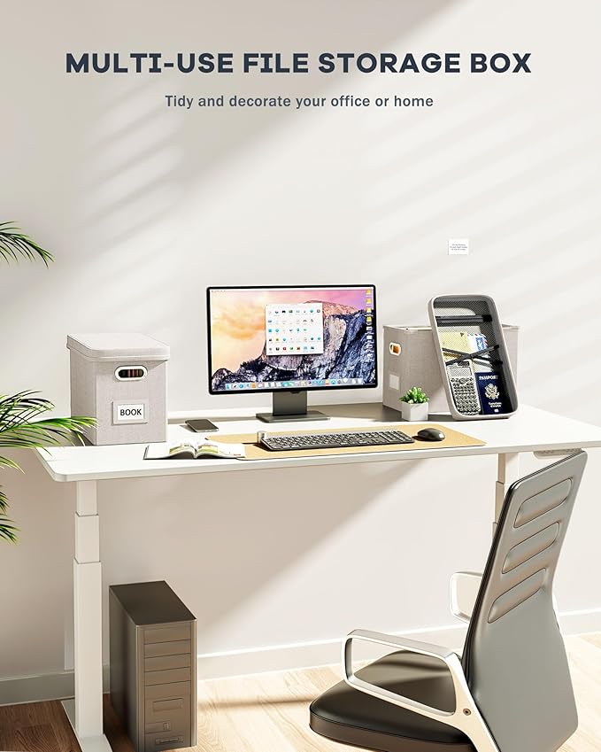 Oterri File Organizer With Lid, Hanging Filing Box With Mesh Pocket, Document Organizer for Letter Files, Portable Storage With Smooth Sliding Rail for Office & Home (2 PCS, Beige)