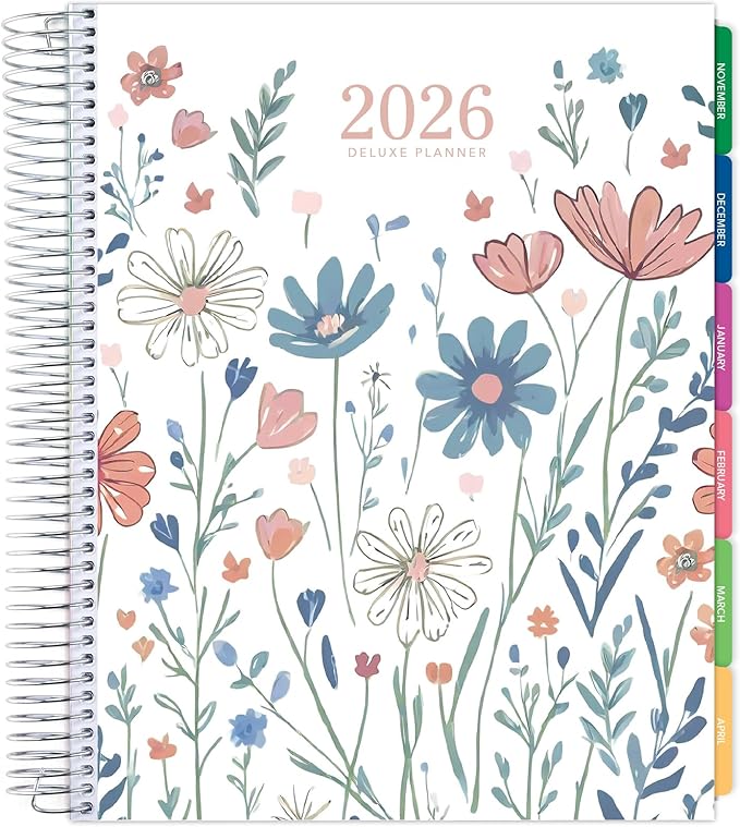 DELUXE 2026 Planner, 8.5"x11": 14 Months (November 2025 - December 2026), Includes Page Tabs, Bookmark, Planning Stickers, Pocket Folder Daily Weekly Monthly Planner Yearly Agenda (Colorful Botanicals)