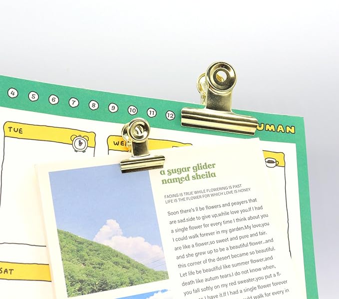 Gold Bulldog Binder Paper Clips, Assorted Sizes Set, Paperclips for School, Office and Home Kitchen