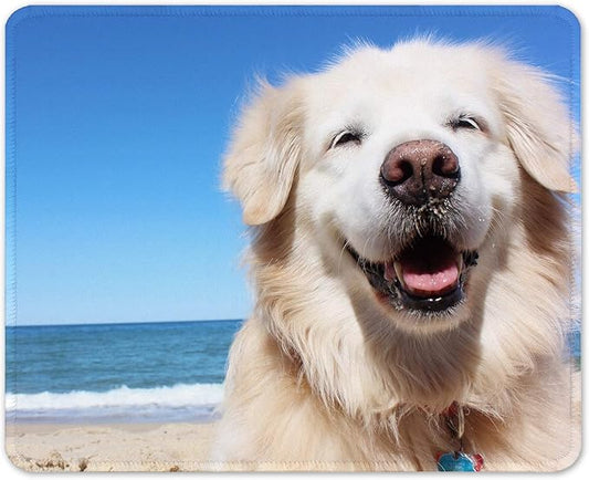 Auhoahsil Mouse Pad, 12 x 10 in Animals Theme Computer Mouse Pad for Desk, Premium-Textured Non-Slip Rubber Stitched Edges Waterproof Square Mouse Mat for Gaming Work Wireless Mice, Beach & Dog