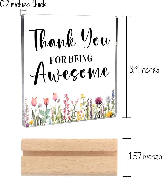 Thank You Gifts for Women, Inspirational Gifts Farewell Gifts for Coworkers Appreciation Gifts for Coworkers Employee Teachers Nurse Friends, Thank You for Being Awesome Clear Desk Decorative Sign