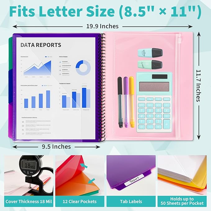 Binditek 12-Pocket Poly Project Organizer, Heavy-Duty Poly Cover, Clear Front Pocket, 6-Color Dividers with 1/3-Cut Tabs, Fixed Zipper Pouch, Letter-Size, Pink