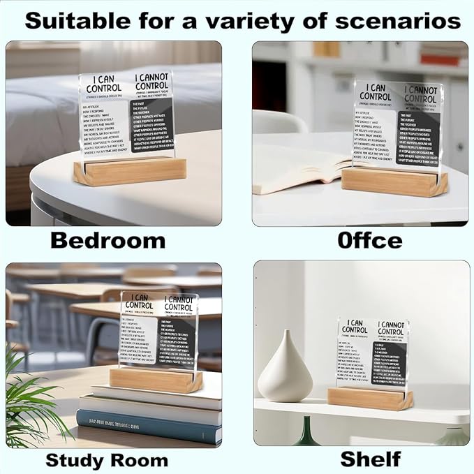 Things I Can't Control Office Decor Sign, Motivational Quotes Acrylic Sign With Wooden Stand, Thank You Gifts for Woman Coworker Nurse Friends Decorative Desk Accessories Table Shelf Signs Decor-1