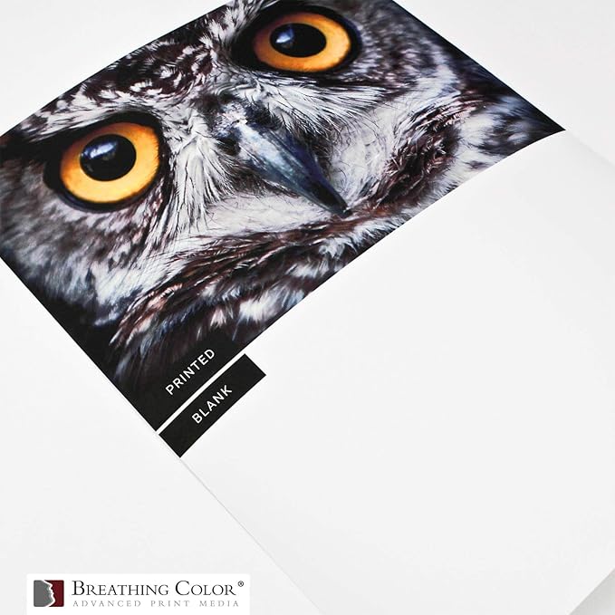 Vibrance Matte Photo Printer Paper 12 mil 230 gsm Matte Finish Premium Photo Paper Roll on 3in Core 17 inches x 10 ft Works with Most Inkjet Printer Professional Makes and Models Like Epson Canon HP