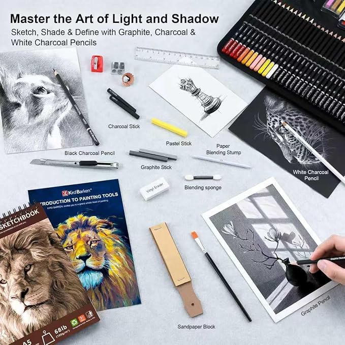 240PCS Artists Art Supplies - Drawing Kit with 3 Sketchbook, Coloring book - Graphite,Colored, Charcoal, Watercolor,Metallic,Fluorescent & Rainbow Pencils - for Artists and Beginners