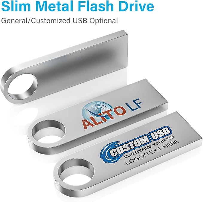 ABLAZE Custom Flash Drive 1GB 10 Pack, Personalized USB with Your Logo Metal Thumb Drives USB 2.0 Memory Stick Pendrive (Sliver)