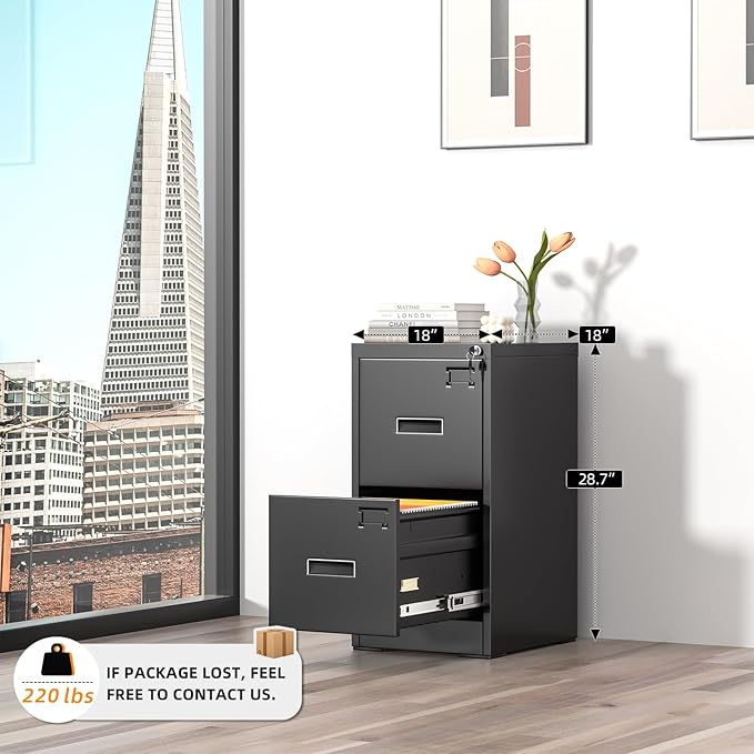 INTERGREAT 2 Drawer Filing Cabinet, Metal Black File Cabinets with Lock, Locking Narrow Storage Cabinet with Adjustable Hanging Frame for Home Office, Letter/Legal/F4/A4 Size