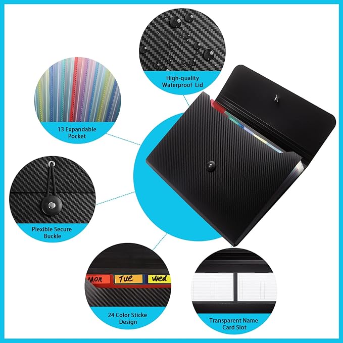 Expanding File Folder, 13 Pockets, Black, Polypropylene