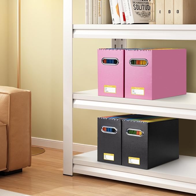 BALEINE File Organizer Box, Cardboard File Folder Organizer with Handle for Letter Size, Portable Collapsible Hanging Filing Box for Home Office Document Storage (2 Pack, Pink)