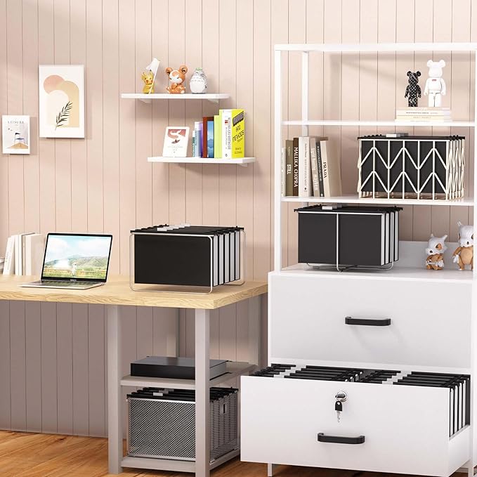 Extra Capacity Legal Size Plastic Hanging File Folders,12 Pack Reinforced Legal Size Hanging Folder with Heavy Duty 2 Inch Expansion,Filing Cabinet Folders,for Bulky Files, Medical Charts,Black