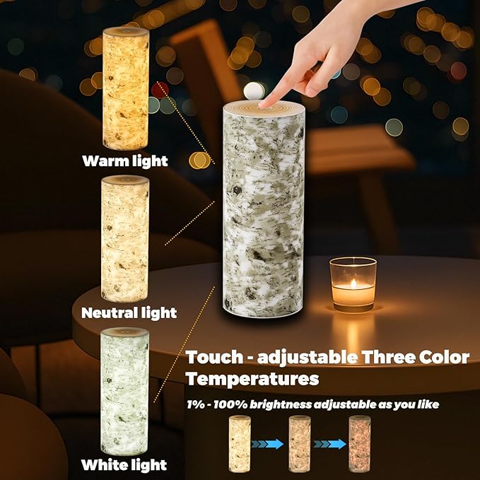 USB Charging Touch Bedside Table Lamp, 4000mAh Rechargeable Battery - Stepless Dimming Imitation Birch Tree Lamp, Portable Night Light for Bedroom, Camping, Dorm, Living Room, Office