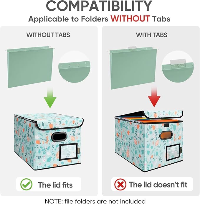 BALEINE File Organizer Box with Lid, Collapsible File Folder Organizer with Plastic Slide, Hanging File Folder Box for Office Document Storage (1 Pack, Spring Stroll)