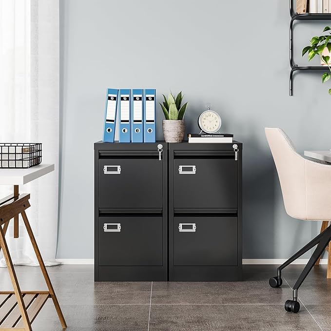 MIIIKO 2 Drawer Filing Cabinet with Lock, Metal Vertical File Cabinets for Home Office, Lockable File Storage Cabinets Under Desk, Letter/A4 File Folders Storage(Assembly Required)