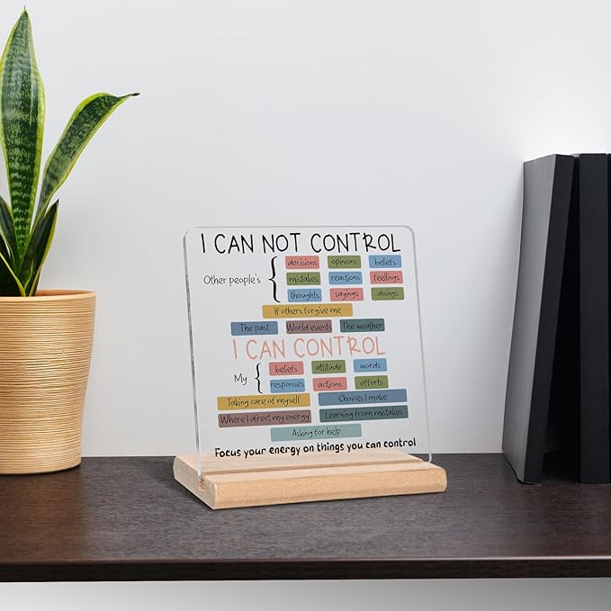 Mental Health Things I Can Control Psychology Motivational Acrylic Plaque Sign, Mental Health Gifts for Student Graduation, Therapist Office Gifts, Inspirational Gift for School Counseling Office Decor for Desk