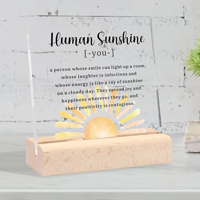 Thank You Gifts for Women Men, Appreciation Gifts for Teacher Coworkers Nurse Doctor Friends Motivational Gifts for Women Mom Daughter, Human Sunshine Clear Desk Decorative Sign