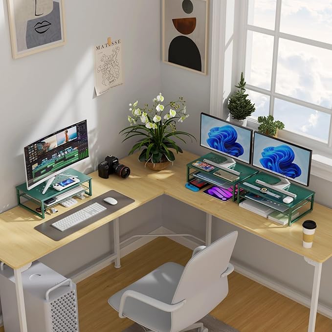 gianotter 2-Tier Metal Monitor Stand Riser, Desk Organizer for Monitor, Office Desk Storage Organizer for Office Supplies (Dark Green)